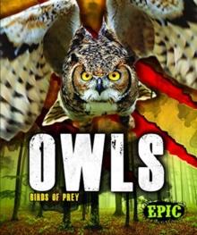 Owls