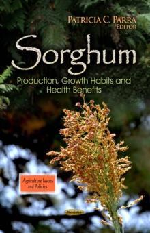 Sorghum : Production, Growth Habits and Health Benefits