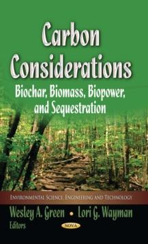 Carbon Considerations : Biochar, Biomass, Biopower, and Sequestration