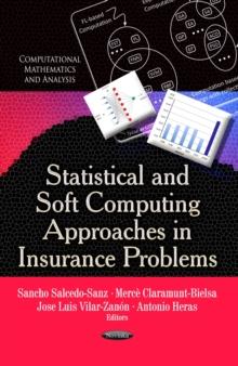 Statistical and Soft Computing Approaches in Insurance Problems