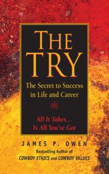 The Try : The Secret to Success in Life and Career