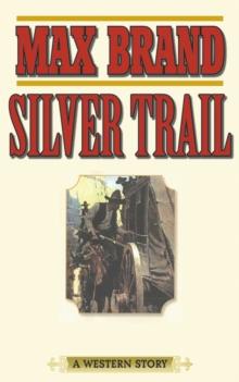 Silver Trail : A Western Story