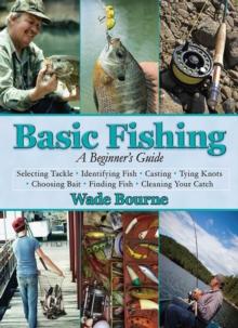 Basic Fishing : A Beginner's Guide