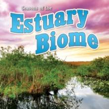 Seasons Of The Estuary Biome