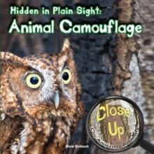 Hidden in Plain Sight : Animal Camouflage