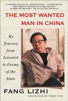 The Most Wanted Man in China : My Journey from Scientist to Enemy of the State