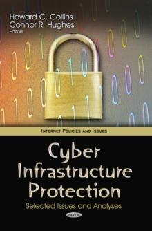 Cyber Infrastructure Protection : Selected Issues and Analyses