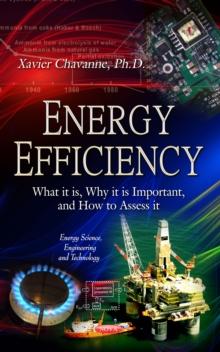 Energy Efficiency : What it is, Why it is Important, and How to Assess it