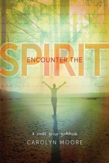 Encounter the Spirit