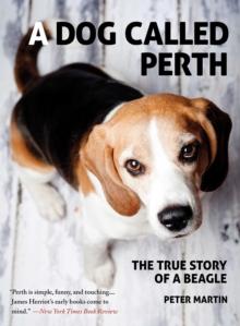 A Dog Called Perth : The True Story of a Beagle