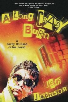 A Long Crazy Burn : A Darby Holland Crime Novel