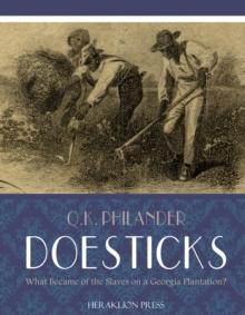 What Became of the Slaves on a Georgia Plantation?