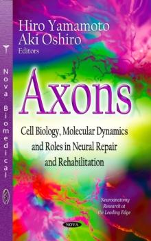 Axons : Cell Biology, Molecular Dynamics and Roles in Neural Repair and Rehabilitation