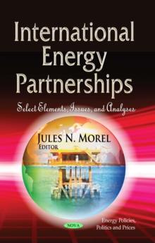 International Energy Partnerships : Select Elements, Issues, and Analyses