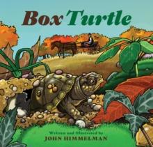 Box Turtle