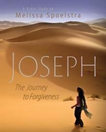 Joseph - Women's Bible Study Participant Book : The Journey to Forgiveness