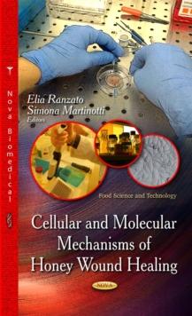 Cellular and Molecular Mechanisms of Honey Wound Healing