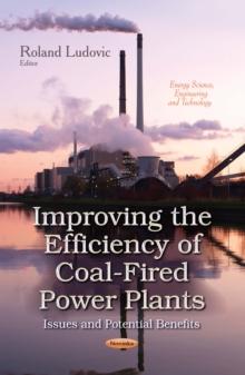 Improving the Efficiency of Coal-Fired Power Plants : Issues and Potential Benefits