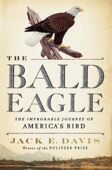 The Bald Eagle : The Improbable Journey of  America's Bird