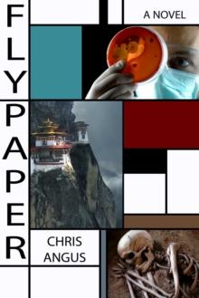 Flypaper : A Novel