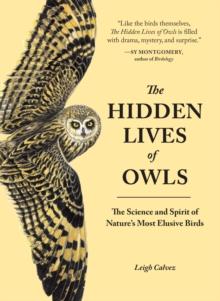 Hidden Lives of Owls