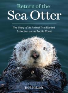 Return of the Sea Otter