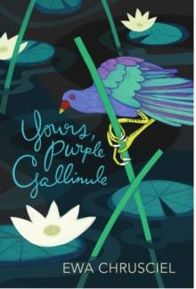 Yours, Purple Gallinule