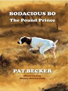 Bodacious Bo The Pound Prince