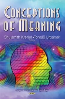 Conceptions of Meaning