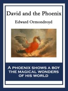 David and the Phoenix : Illustrated Edition