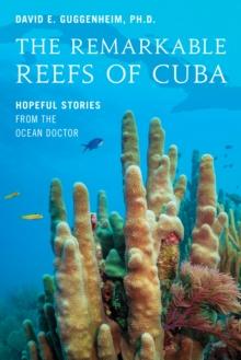 The Remarkable Reefs Of Cuba : Hopeful Stories From the Ocean Doctor