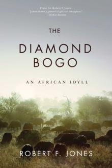 The Diamond Bogo : An African Idyll