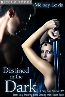 Destined in the Dark - Historical Cross-Dressing Medieval M/M Erotica from Steam Books