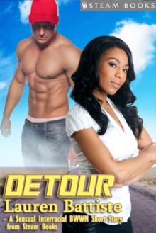 Detour - Sexy Interracial BWWM Erotic Romance Short Story from Steam Books