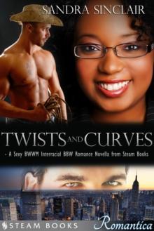 Twists and Curves - A Sexy BWWM Interracial BBW Romance Novella from Steam Books