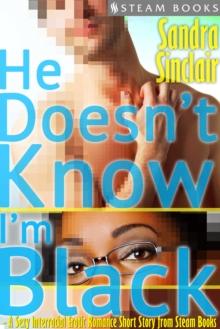 He Doesn't Know I'm Black - A Sexy Interracial Erotic Romance Short Story from Steam Books