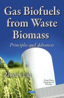 Gas Biofuels from Waste Biomass : Principles and Advances