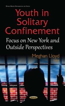 Youth in Solitary Confinement : Focus on New York and Outside Perspectives