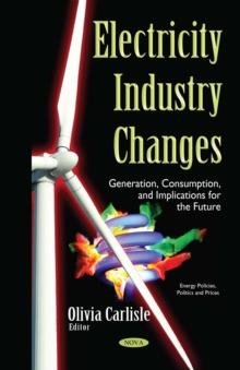 Electricity Industry Changes : Generation, Consumption, and Implications for the Future