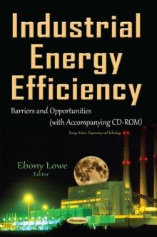 Industrial Energy Efficiency : Barriers and Opportunities