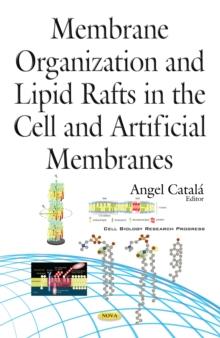 Membrane Organization and Lipid Rafts in the Cell and Artificial Membranes