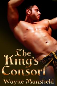 The King's Consort Box Set