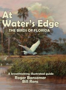 At Water's Edge : The Birds of Florida