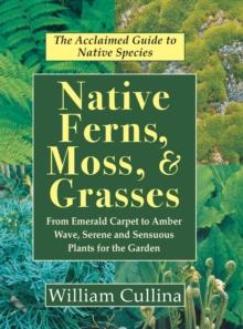 Native Ferns, Moss, and Grasses