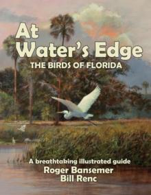 At Water's Edge : The Birds of Florida