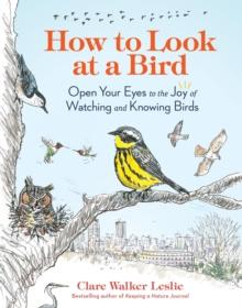 How to Look at a Bird : Open Your Eyes to the Joy of Watching and Knowing Birds