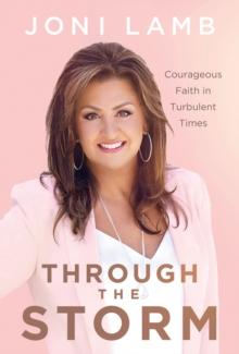 Through the Storm : Courageous Faith in Turbulent Times