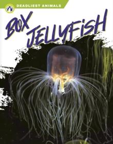 Deadliest Animals: Box Jellyfish