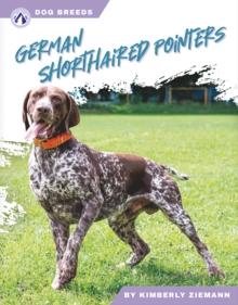 German Shorthaired Pointers