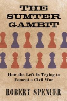 Sumter Gambit: How the Left Is Trying to Foment a Civil War